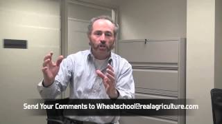 Wheat School - Pushing the Envelope On Nitrogen Rates In Ontario
