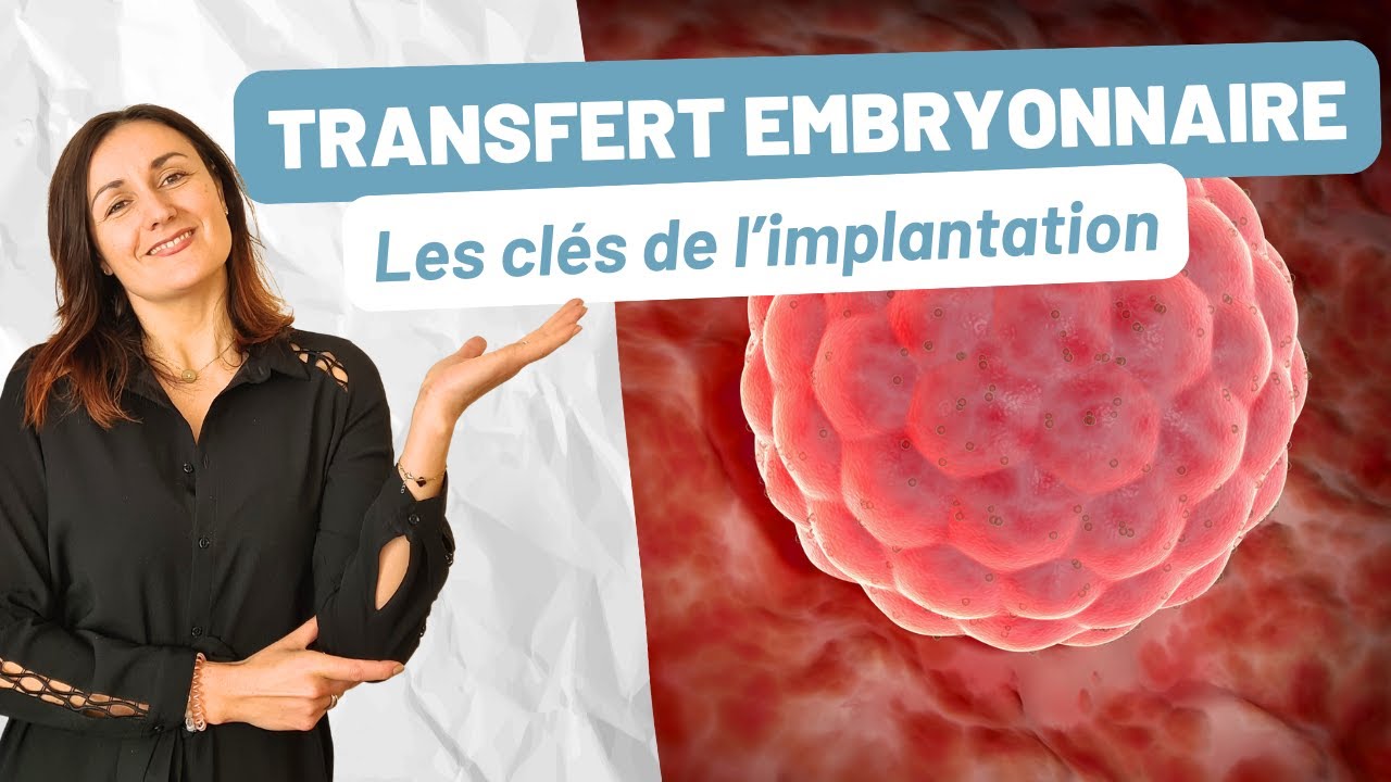 Transfert embryonnaire : les 4 essentiels pour maximiser vos chances d’implantation !