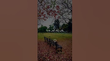 قراءة سورة الملك قبل النوم تنجي من عذاب القبر غفر الله لنا ولكن❤️🌸