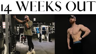 How it feels to be 14 weeks out from a bodybuilding show | 15 screenshot 4