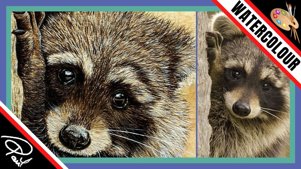 Watercolour Painting Lesson - How To Paint a Raccoon's Eye!