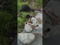 Những Hành Động Nhỏ Lớn Trong Sạch Sẽ Môi Trường