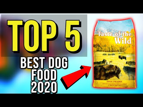 ✅-top-5:-best-dog-food-2020