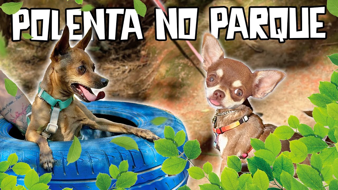 LEVEI OS PEQUENOS PRÍNCIPES EM UM PARQUE SUPER LEGAL DE SOROCABA!