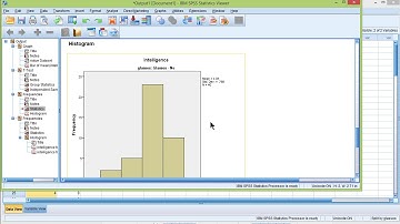 V6 17 - Skew, kurtosis & histograms across groups in SPSS