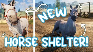 NEW Horse Rescue Game!  Animal Shelter Simulator