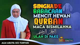 ABUYA UCI TURTUSI - CARA MENYEMBELIH HEWAN QURBAN DENGAN MEMBACA BISMILLAH