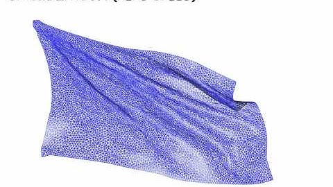 Fast and Efficient Skinning of Animated Meshes