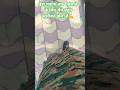 nccguru393#army commando feel #viral #motivation #trending #song #shorts #video 🫡