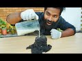 Milk Vs Potassium Permanganate | M4 TECH |