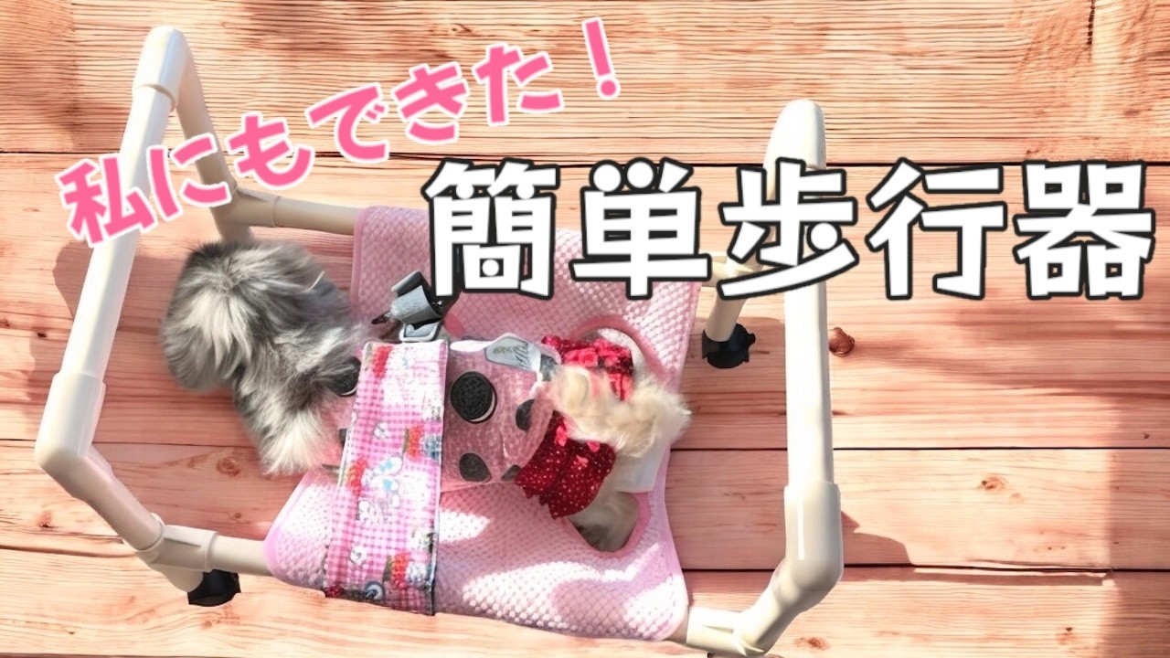 【シニア犬介護グッズ】工具不要で超簡単！姿勢保持や歩行補助に、あると便利な小型犬用歩行器の作り方
