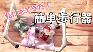 シニア犬介護グッズ】工具不要で超簡単！姿勢保持や歩行補助に、あると