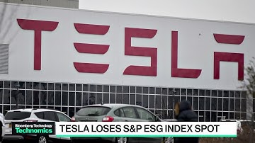Elon Musk Calls ESG Metrics a 