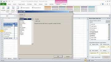 Working with Pivot Tables in Excel 2010 - Part 2