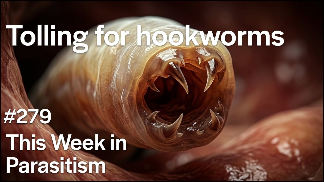 This Week in Parasitism