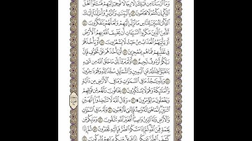 الوجه 272 من القرآن مكرر ١٠ مرات مع الآيات | سورة النحل | الشيخ خليفة الطنيجي