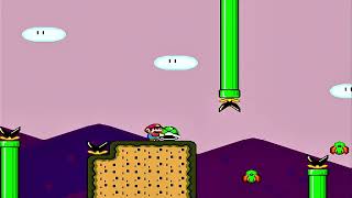 Super Mario Kaizo Gameplay  Extreme Difficulty