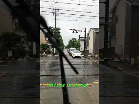 Um dia normal