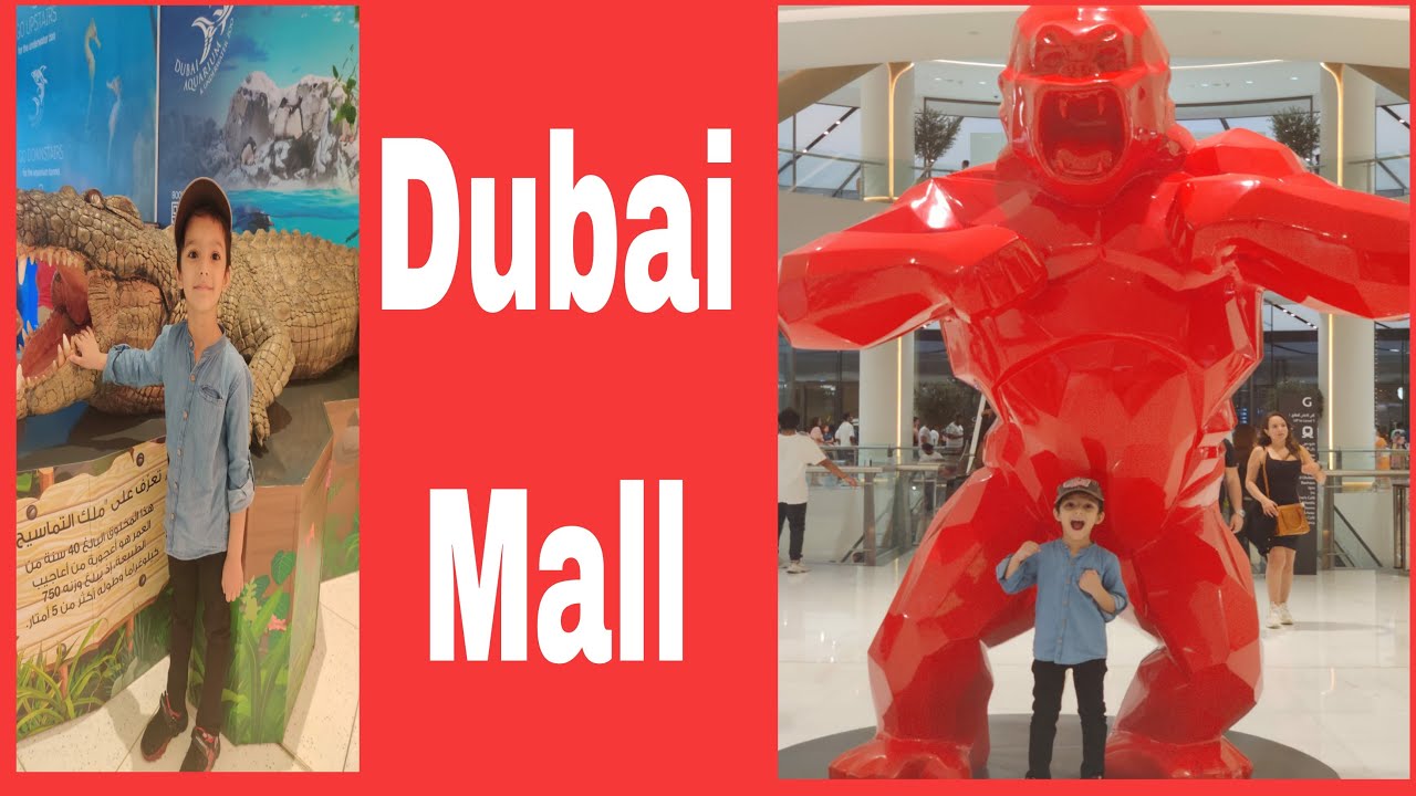 Dubai Mall aquarium/ underwater zoo/ Dubai mall aquarium free/ no