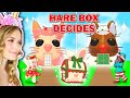 *NEW* Hare Box DECIDES What We BUILD In Adopt Me! (Roblox)