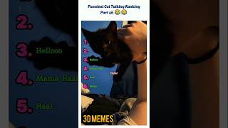 cut And Very Funny Cat