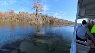 4K | Edward Ball Wakulla Boat Tour [NonVR]