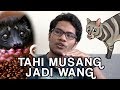 Tahi Musang Jadi Wang