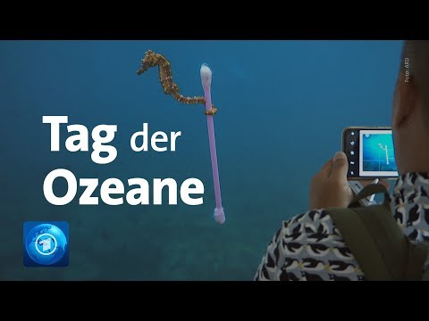 Video: Was Ist Der Welttag Der Ozeane?