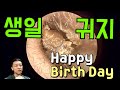 EP.148 귀지형 주니어 생일축하 기념 귀지제거!! (HAPPY BDAY WAX REMOVAL)