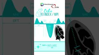 Celebrity Tei Index - Myocardial Performance Wealth