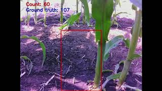 Embedded Corn Stand Counting Algorithm for an Ultra-Compact 3D Printed Field Robot