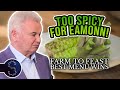 Cooking With Locally-Grown Wasabi | Farm To Feast: Best Menu Wins