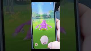 ¡CAPTURO a HERACROSS SHINY en su RAID DAY de Pokémon GO! #Shorts