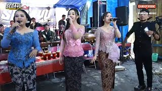 Nonstop Cdanursari  Album Versi Langgam Jawa Paling Gayeng Enak Di Dengar