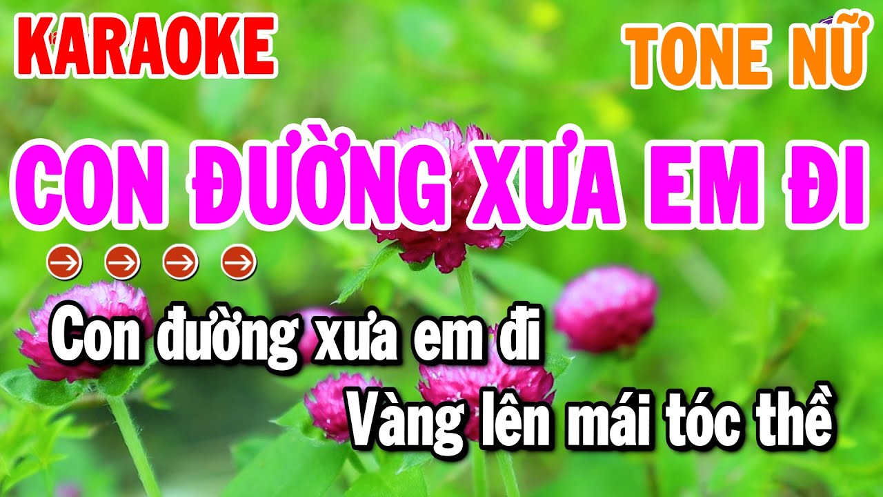 Con Đường Xưa Em Đi Karaoke Tone Nữ Nhạc Sống Rumba Dễ Hát | Thanh Hải Organ