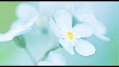 A. Vivaldi: Concerto for violin, organ, strings & b.c. in D minor (RV 541)