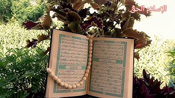 #سورة_القيامة_أروي_جفاف_قلبك_الشيخ_صلاح_حفظه_الله_حالات_واتس_اب_أجمل_التلاوات💭💞🌷🌷🌷