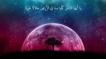 قرآن كريم بصوت جميل جداً || أجمل حالات واتس اب دينيه || تلاوة خاشعة