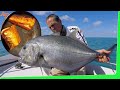 60km Offshore island overnight Solo camping in a small boat Catch and Cook EP.518