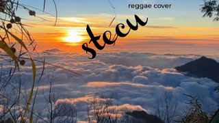 Stecu Reggae Cover  Faris Adam