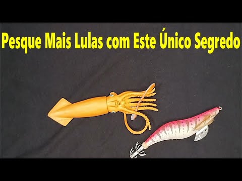 How to Catch Squid: Simple Trick to Increase Your Catches