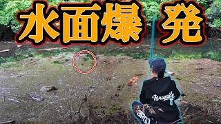 金砂湖５０アップチャレンジ！ゆうね編