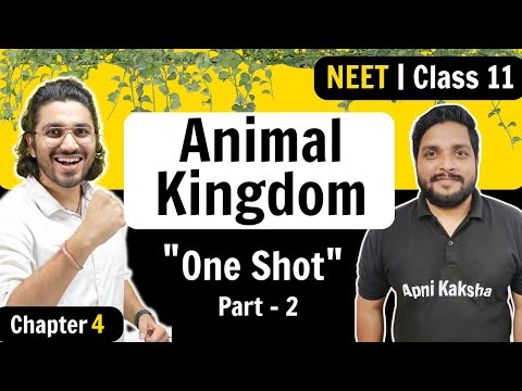Animal Kingdom | Complete Chapter ONE SHOT | Part 2 | NEET 2023 | Chapter 4
