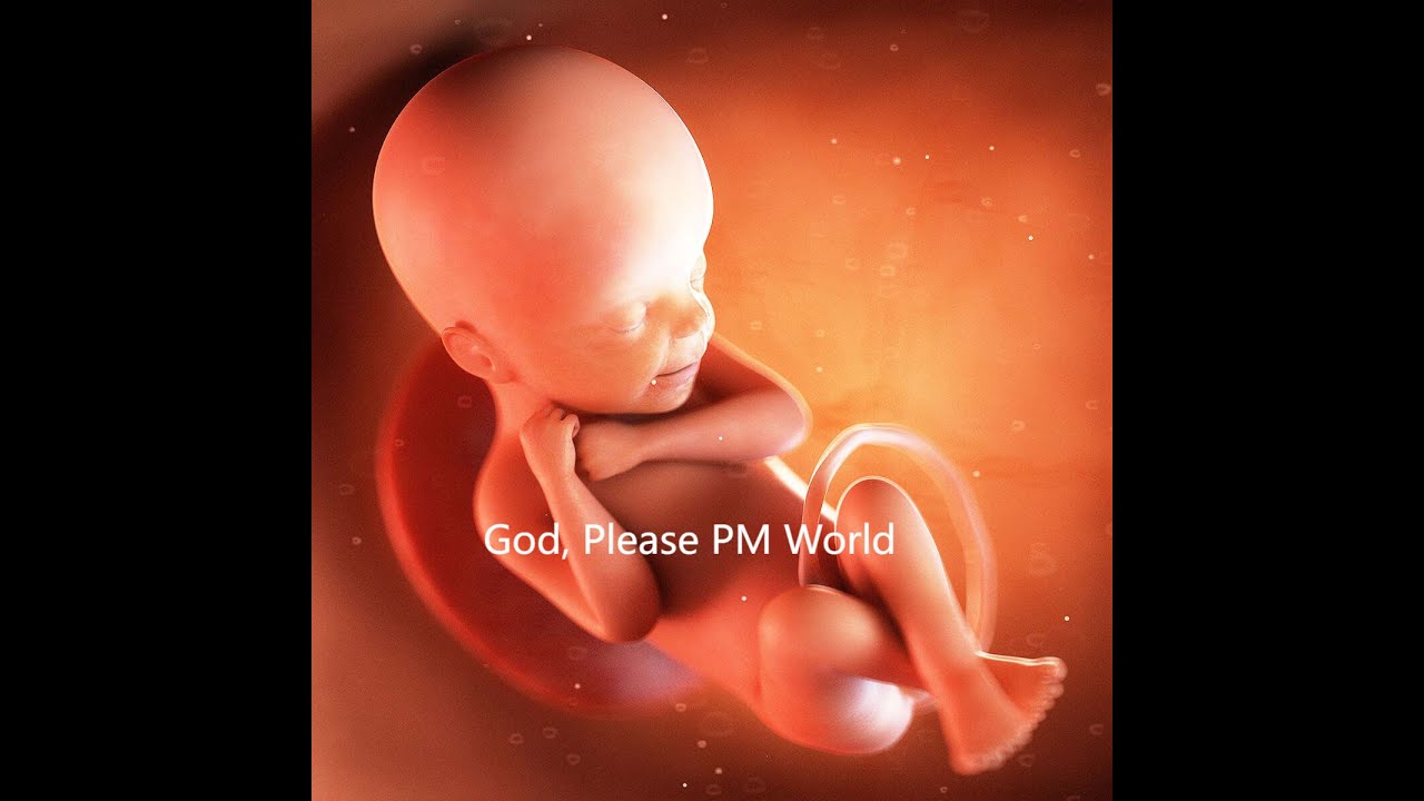 God, Please PM World