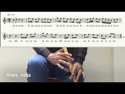 Ney-Nota BAYATİ PEŞREV