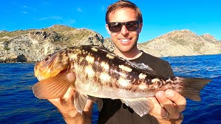 Fishing Catalina Island Southern California (Calico Bass Catch, Clean and Cook)