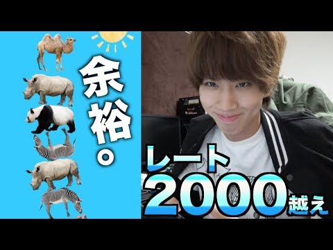 レートが00超えました もう負ける気がしません 動物タワーバトル Youtube
