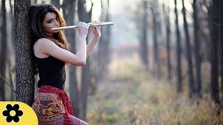 Relaxing Flute Music, Soothing Music, Relax, Meditation Music, Instrumental Music to Relax, ✿3139C