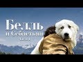 Belle and Sebastian (2013 Movie) Adventure, Family Movie