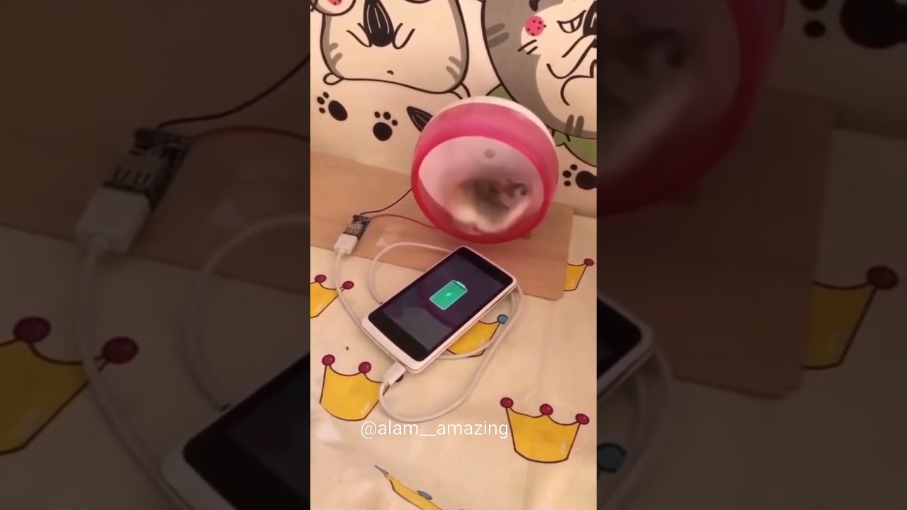 Like a Boss Compilation!Amazing people 2021 